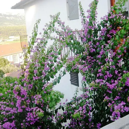 Jelsa Apartments