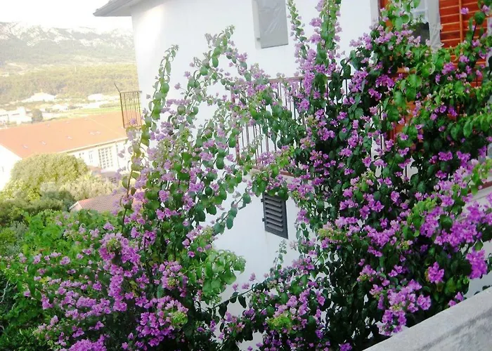 Jelsa Apartments