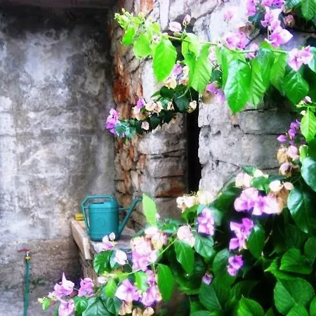 Jelsa Apartments Apartamento